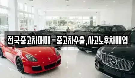 부산 강서구 봉림동 단기렌트카,중고차매입,중고차매매,중고차,렌트카,장기렌트카