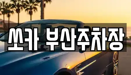 부산 북구 덕천동 렌트카 전문 쏘카 부산주차장