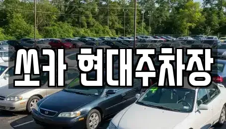 부산 북구 덕천동 렌트카 전문 쏘카 현대주차장