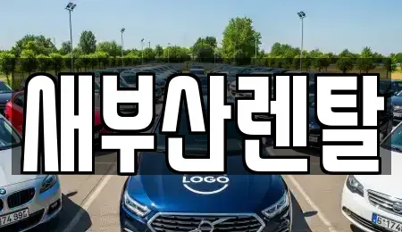 부산 북구 만덕동 렌트카 전문 새부산렌탈