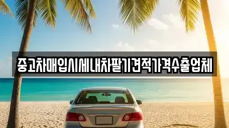 부산 북구 만덕동 중고차매입 전문 중고차매입시세내차팔기견적가격수출업체
