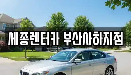 부산 사하구 구평동 렌트카 전문 세종렌터카 부산사하지점