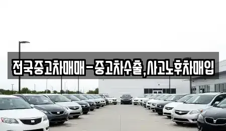 부산 사하구 구평동 중고차매매 전문 전국중고차매매-중고차수출,사고노후차매입