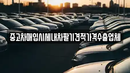 부산 사하구 구평동 중고차매매 전문 중고차매입시세내차팔기견적가격수출업체