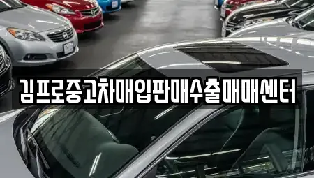 부산 사하구 구평동 중고차매입 전문 김프로중고차매입판매수출매매센터