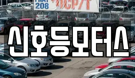 부산 해운대구 중동 중고차 전문 신호등모터스