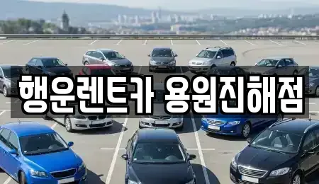 부산광역시 강서구 송정동 렌트카 전문 행운렌트카 용원진해점