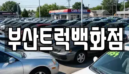 부산광역시 강서구 송정동 중고차매매 전문 부산트럭백화점