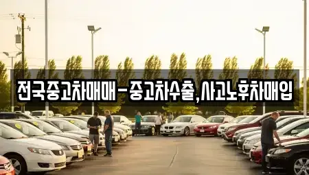 부산광역시 강서구 송정동 단기렌트카,중고차매입,중고차매매,중고차,렌트카,장기렌트카