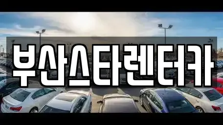 부산광역시 금정구 노포동 렌트카 전문 부산스타렌터카