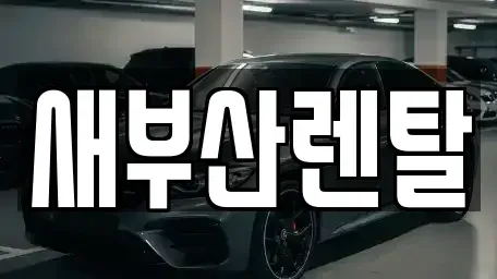 부산광역시 금정구 노포동 렌트카 전문 새부산렌탈