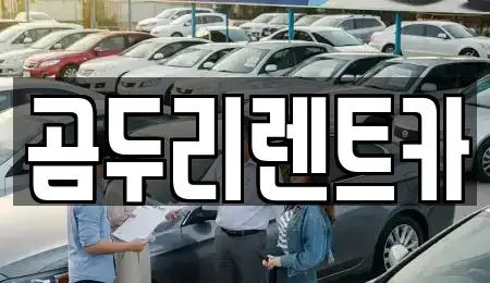 부산광역시 금정구 선동 렌트카 전문 곰두리렌트카