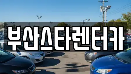 부산광역시 금정구 선동 렌트카 전문 부산스타렌터카