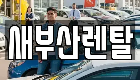 부산광역시 금정구 청룡동 렌트카 전문 새부산렌탈