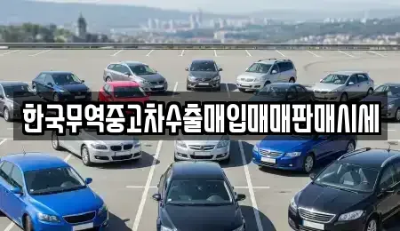 부산광역시 기장군 기장읍 중고차매입 전문 한국무역중고차수출매입매매판매시세