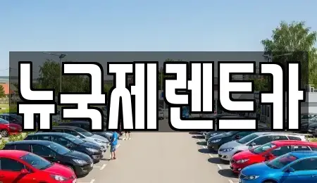 부산광역시 동래구 수안동 렌트카 전문 뉴국제렌트카