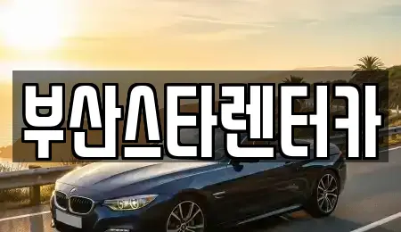 부산광역시 동래구 수안동 렌트카 전문 부산스타렌터카