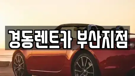 부산광역시 동래구 수안동 장기렌트카 전문 경동렌트카 부산지점