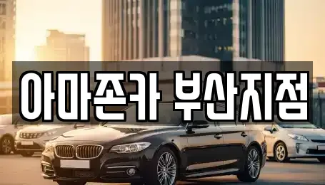 부산광역시 동래구 수안동 장기렌트카 전문 아마존카 부산지점