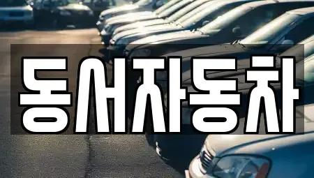 부산광역시 동래구 수안동 중고차 전문 동서자동차