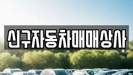 부산광역시 동래구 수안동 중고차 전문 신구자동차매매상사