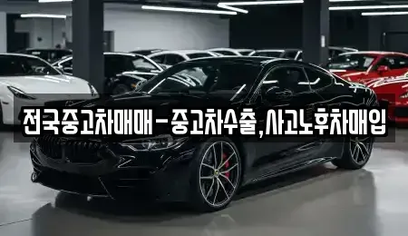 부산광역시 동래구 수안동 중고차 전문 전국중고차매매-중고차수출,사고노후차매입