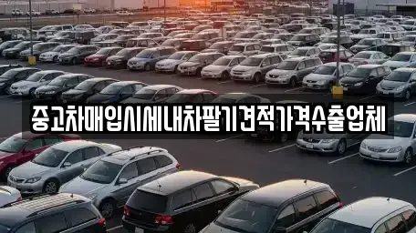 부산광역시 동래구 수안동 중고차 전문 중고차매입시세내차팔기견적가격수출업체