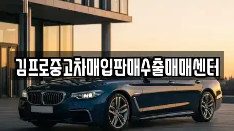 부산광역시 동래구 수안동 중고차매입 전문 김프로중고차매입판매수출매매센터