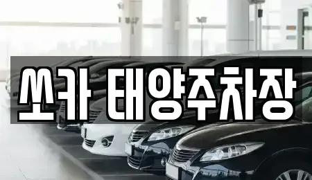 부산광역시 부산진구 전포동 렌트카 전문 쏘카 태양주차장