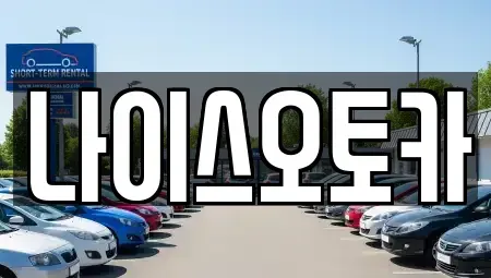 부산광역시 부산진구 전포동 장기렌트카 전문 나이스오토카