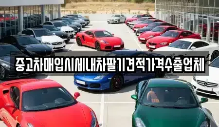 부산광역시 서구 동대신동1가 중고차매입 전문 중고차매입시세내차팔기견적가격수출업체