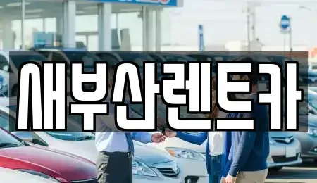 부산광역시 서구 충무동2가 렌트카 전문 새부산렌트카