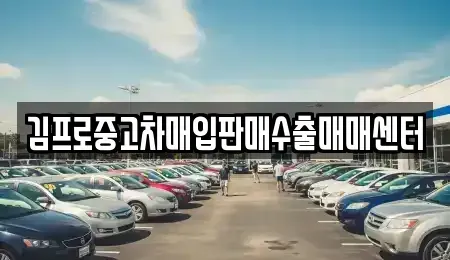 부산광역시 서구 충무동2가 중고차 전문 김프로중고차매입판매수출매매센터