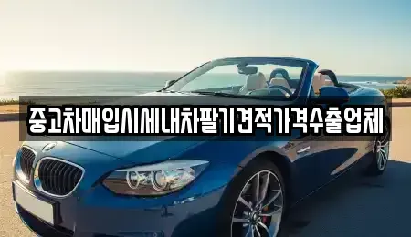 부산광역시 서구 충무동2가 중고차매입 전문 중고차매입시세내차팔기견적가격수출업체