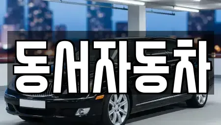 부산광역시 영도구 신선동2가 중고차 전문 동서자동차