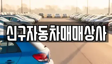 부산광역시 영도구 신선동2가 중고차 전문 신구자동차매매상사