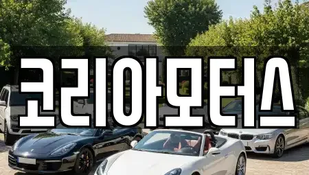 부산광역시 영도구 신선동2가 중고차 전문 코리아모터스