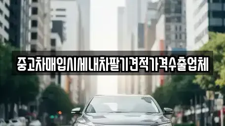 부산광역시 영도구 신선동2가 중고차매매 전문 중고차매입시세내차팔기견적가격수출업체