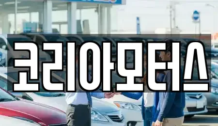 부산광역시 영도구 신선동2가 중고차매매,단기렌트카,중고차매입,장기렌트카,중고차,렌트카
