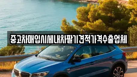 부산광역시 중구 대청동4가 중고차매입 전문 중고차매입시세내차팔기견적가격수출업체