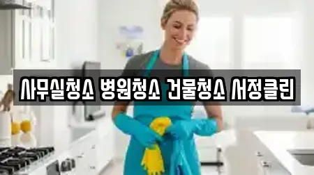 경기도 고양시 덕양구 향동동 사무실청소 전문업체 TOP 15