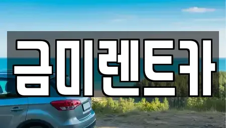 서울 구로구 신도림동 단기렌트카 전문 금미렌트카