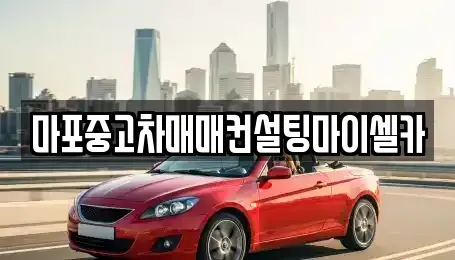 서울 마포구 망원동 중고차 전문 마포중고차매매컨설팅마이셀카