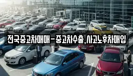 서울 마포구 망원동 중고차 전문 전국중고차매매-중고차수출,사고노후차매입