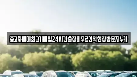 서울 마포구 망원동 중고차매입 전문 중고차매매최고가매입24시간출장비무료견적현장방문지누카
