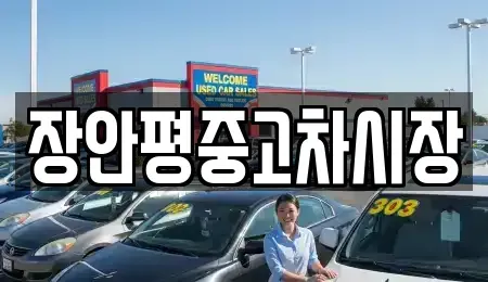 서울 서대문구 대현동 중고차매매 전문 장안평중고차시장