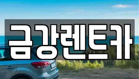 서울 성북구 상월곡동 렌트카 전문 금강렌트카