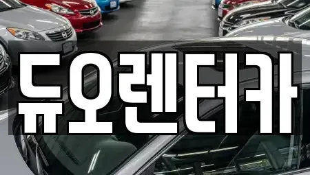 서울 성북구 상월곡동 렌트카 전문 듀오렌터카