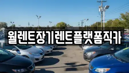 서울 성북구 상월곡동 장기렌트카 전문 월렌트장기렌트플랫폼직카
