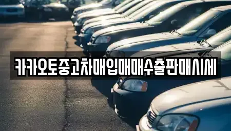 서울 성북구 상월곡동 중고차매입 전문 카카오토중고차매입매매수출판매시세
